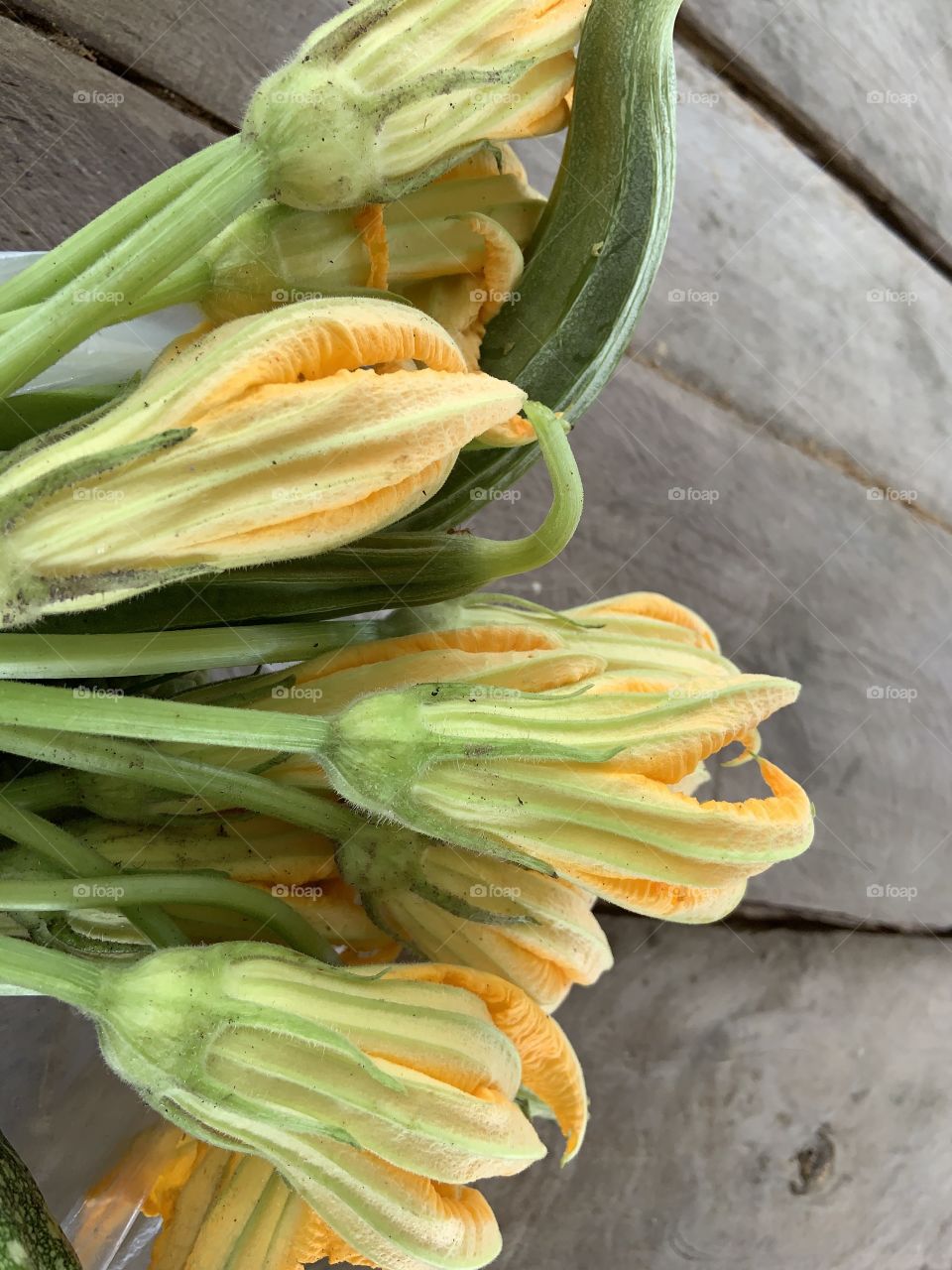 Fresh from the garden, Countryside (Thailand)