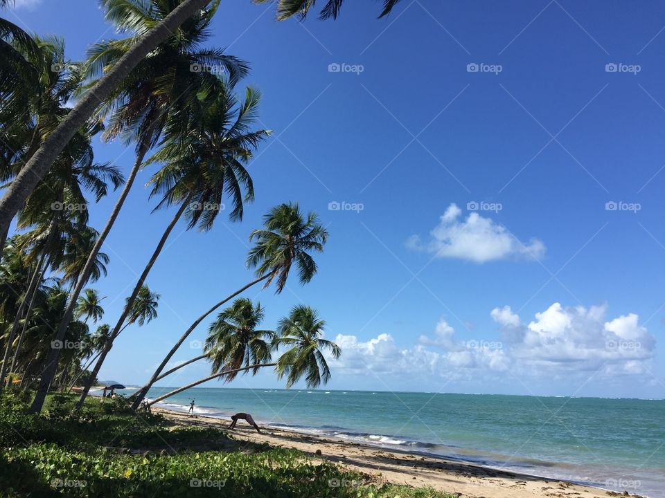 Paradise Beach at Patacho Beach in São Miguel dos Milagres, Alagoas, Brazil