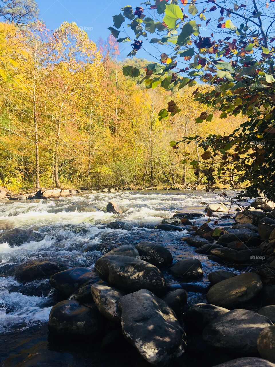 Fall River 
