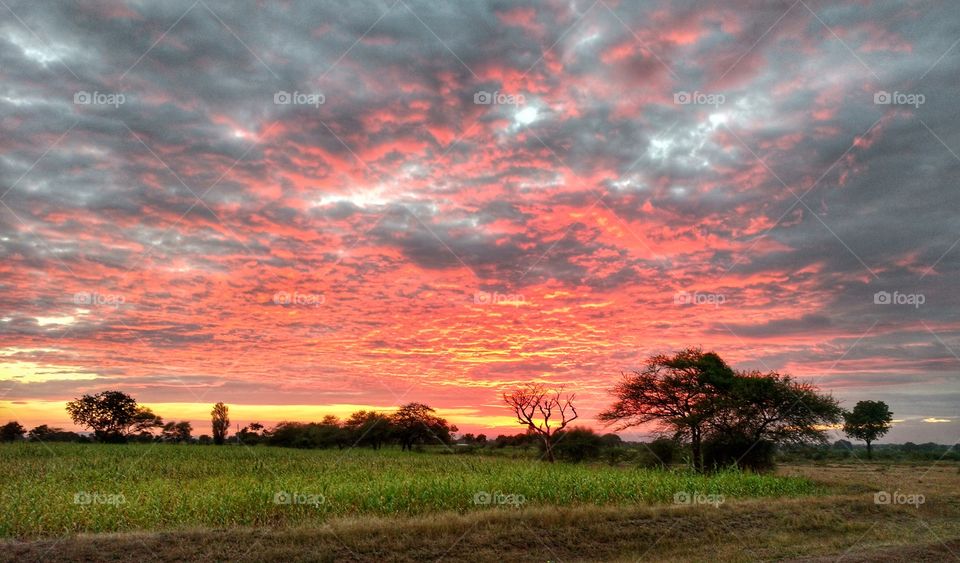 Scenic view of field against dramatic sky