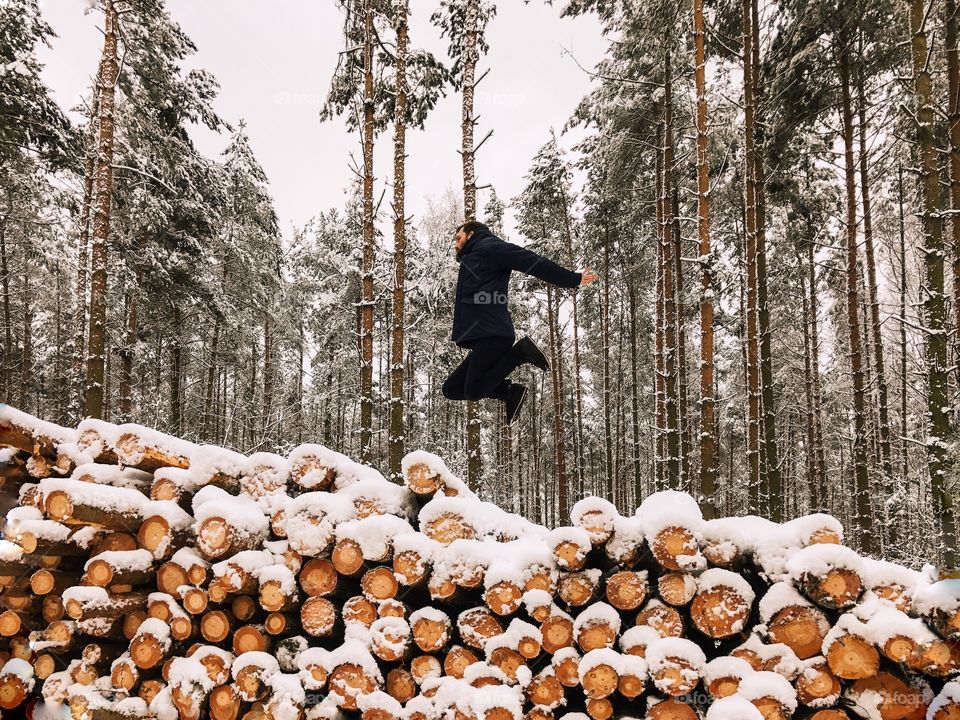 Wood, Tree, Winter, Nature, Season