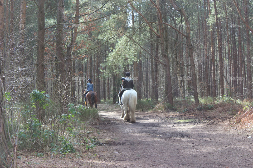 Horseback riding