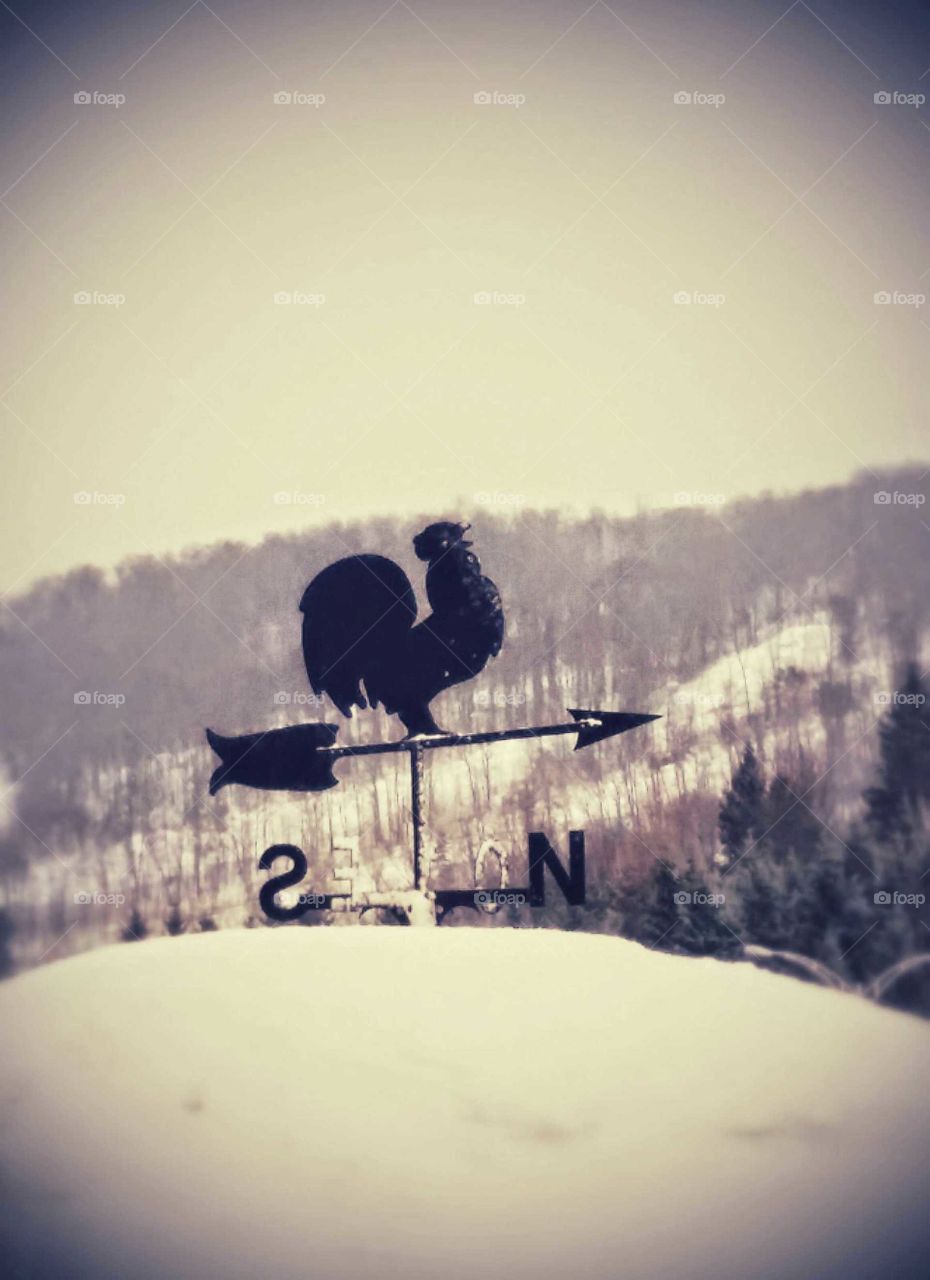 A rooster shaped wind indicator with a background of mountains during winter
