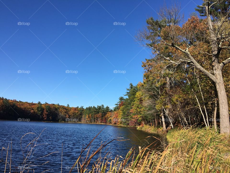October pond 