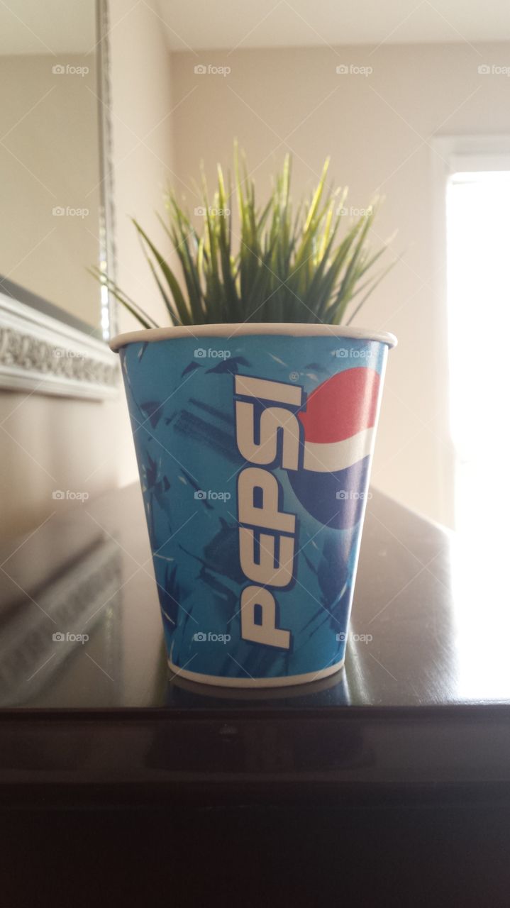 Pepsi cup