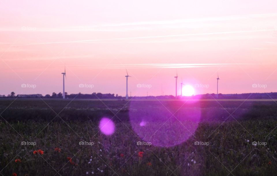 Sunlight touched Earth