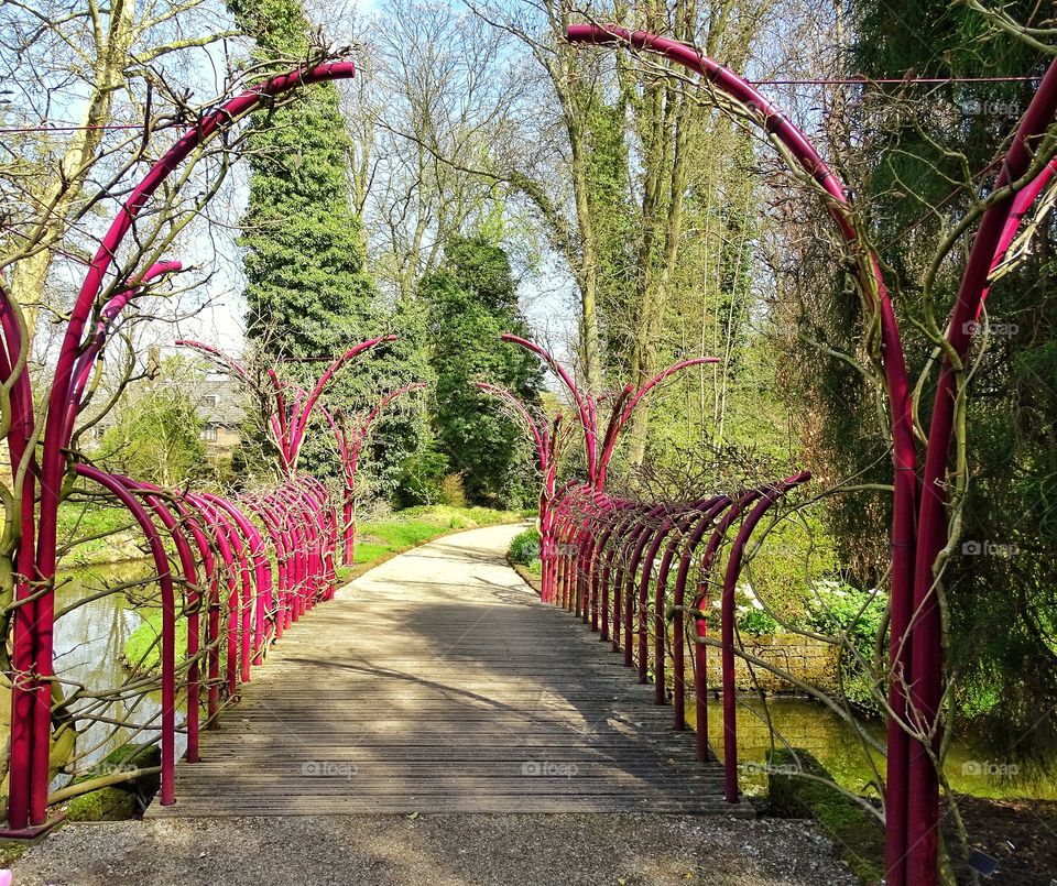 Parc in the springtime