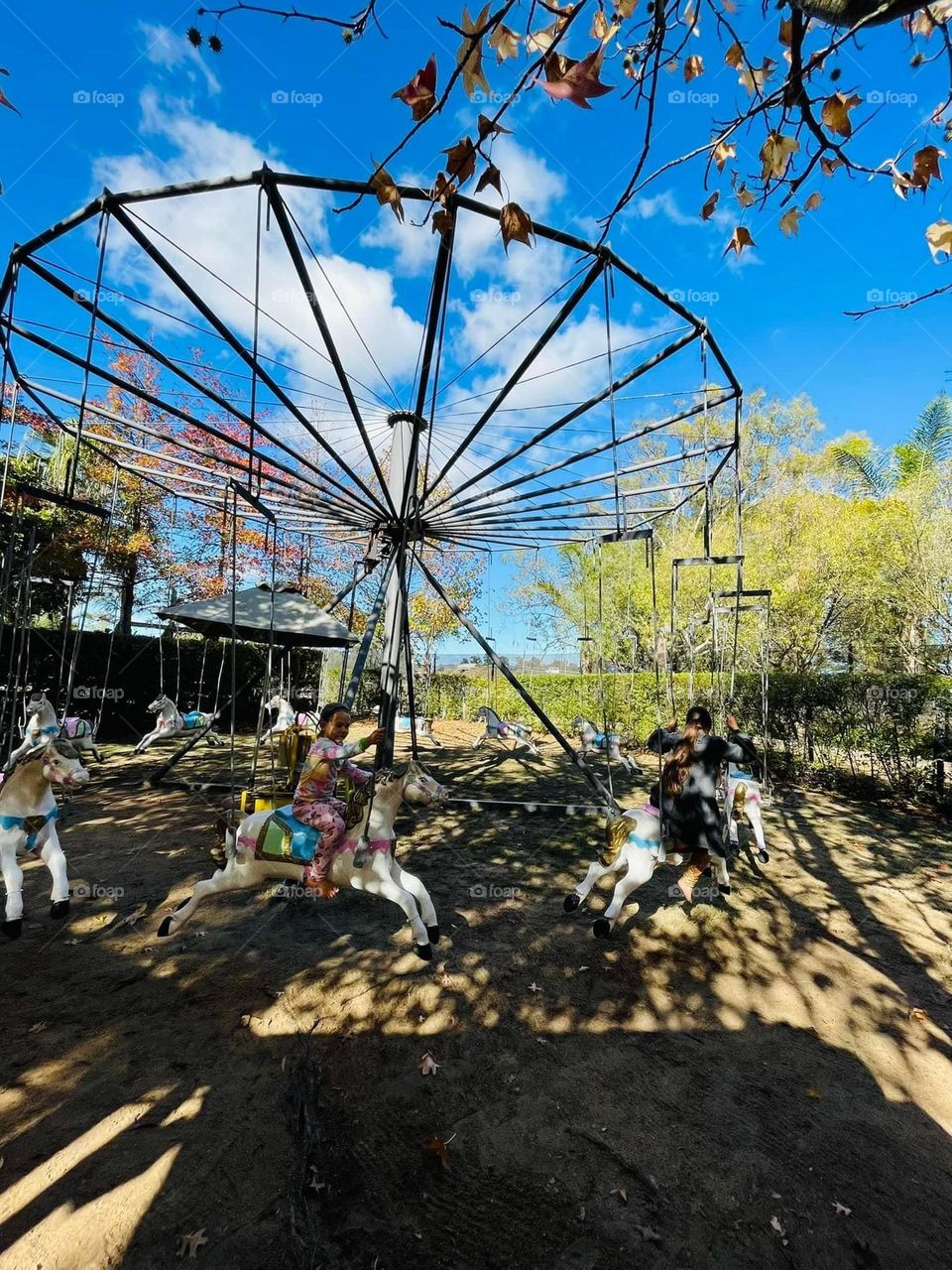 Around and around they go! 