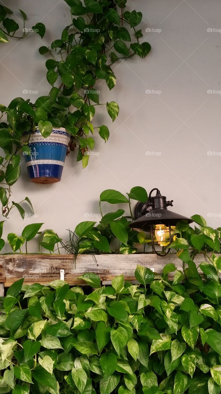 Wall decoration with a pot and plants