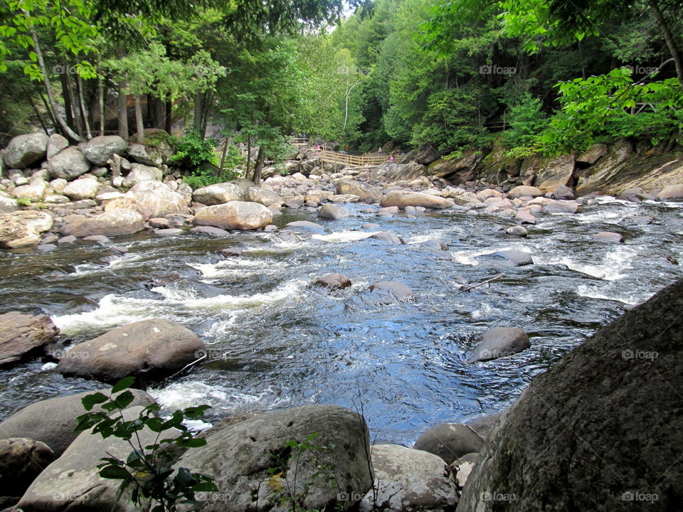 Babbling Brook