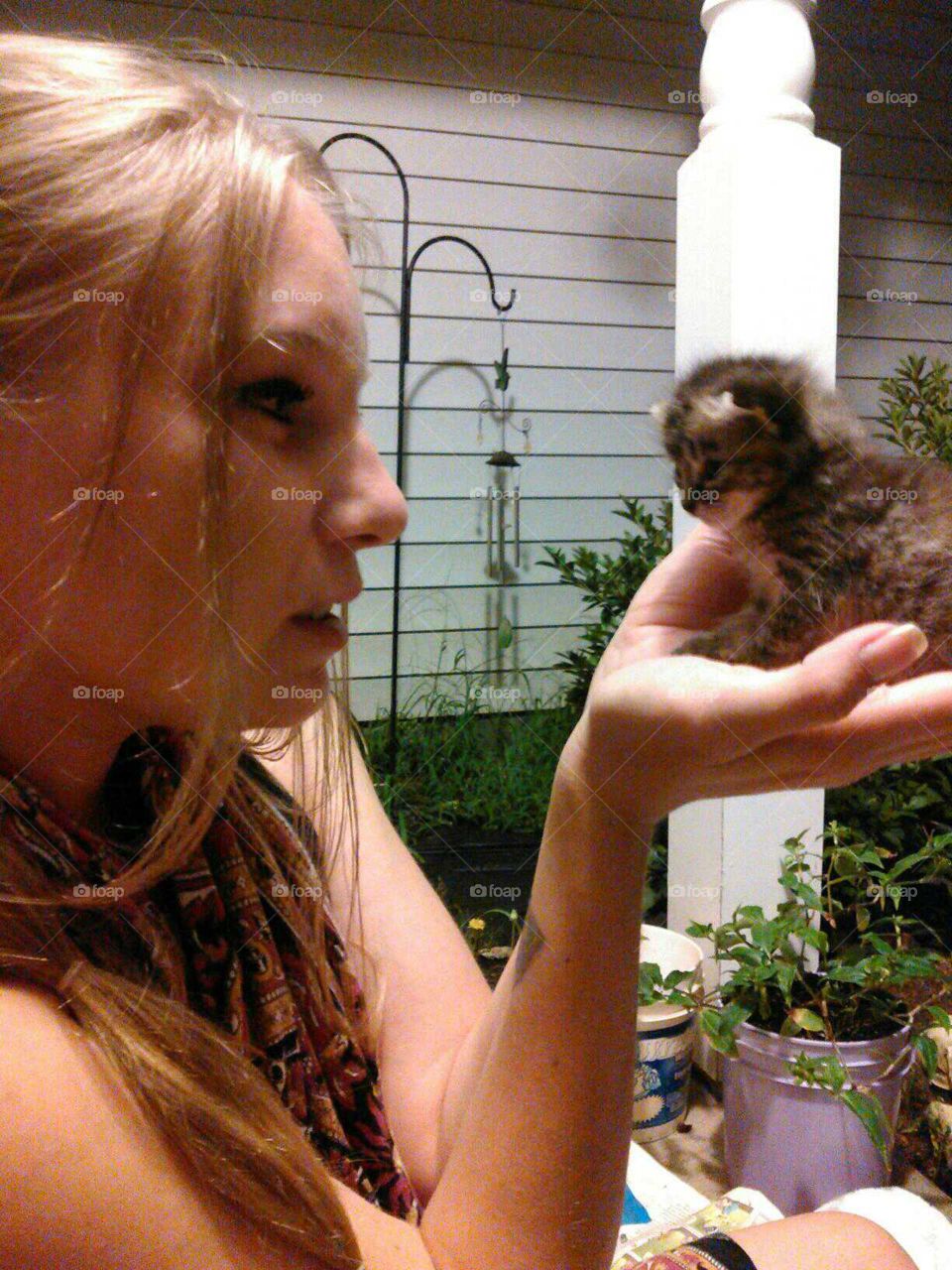 cutest kitten few days old