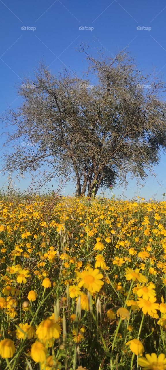 Wonderful nature comforts my heart