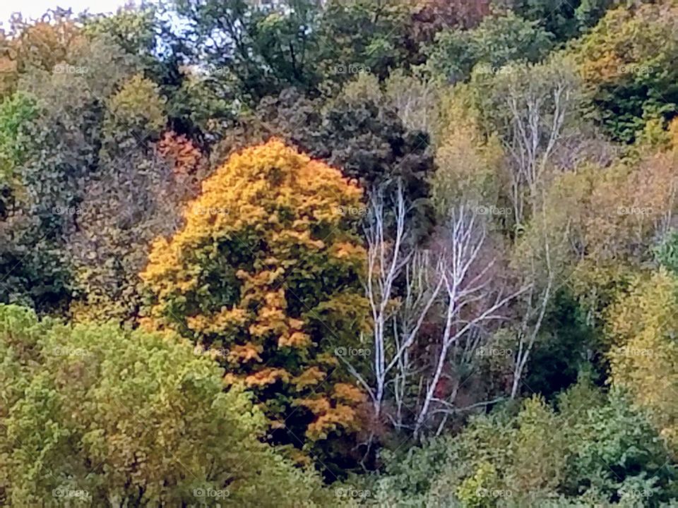 Driving the Back Roads and enjoying everything around us