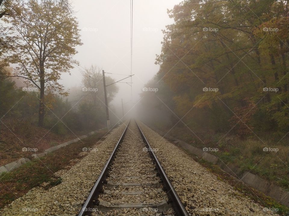 The Railway Road in Fog