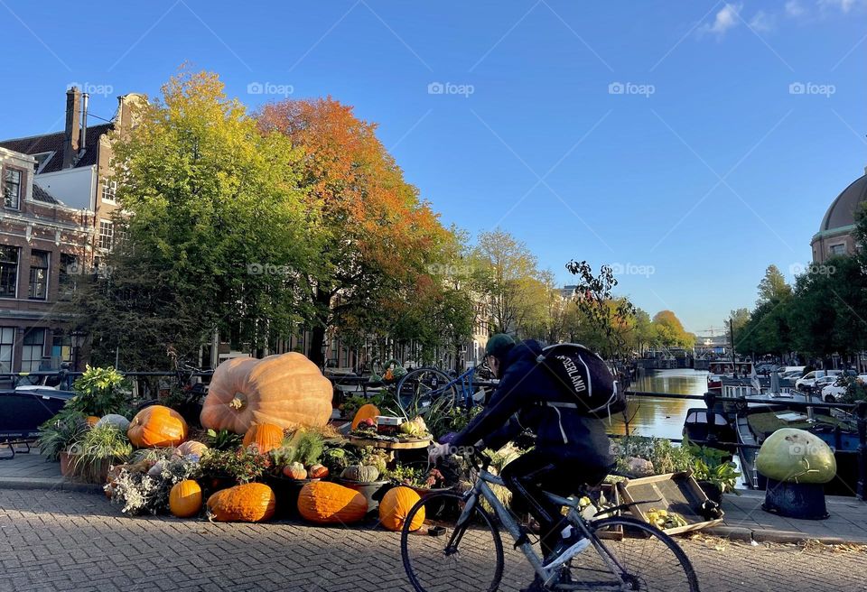 Biking Along The Canal Pumpkin Patch