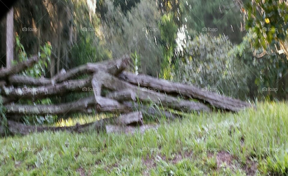 rustic. neighborhood photos