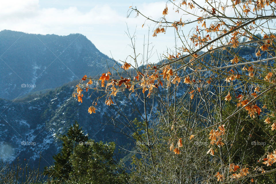 Mountain landscape 