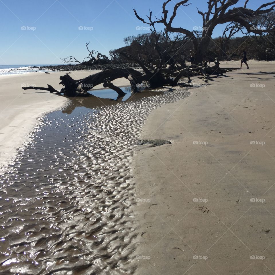 Smooth sand with a fallen tree and a little stream of water makes for a beautiful beach retreat. Quiet and peaceful to just think.
