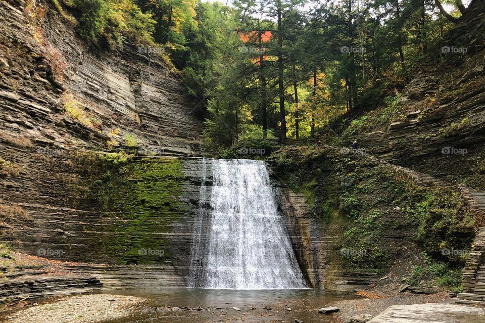 Stony Brook State Park in Dansville, Ny. 