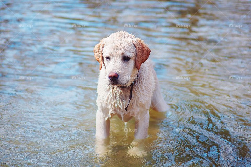 First time in river 