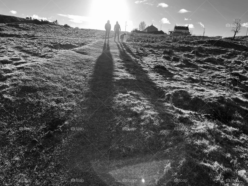 B&W photo of a family dog walk uphill !