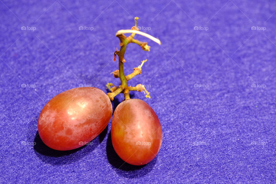 Grapes photo opportunity