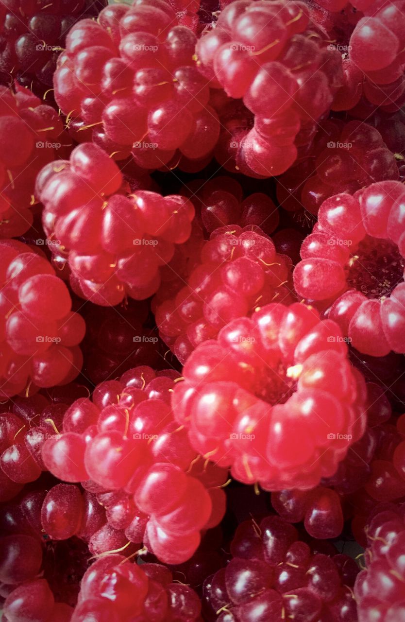 Raspberries 