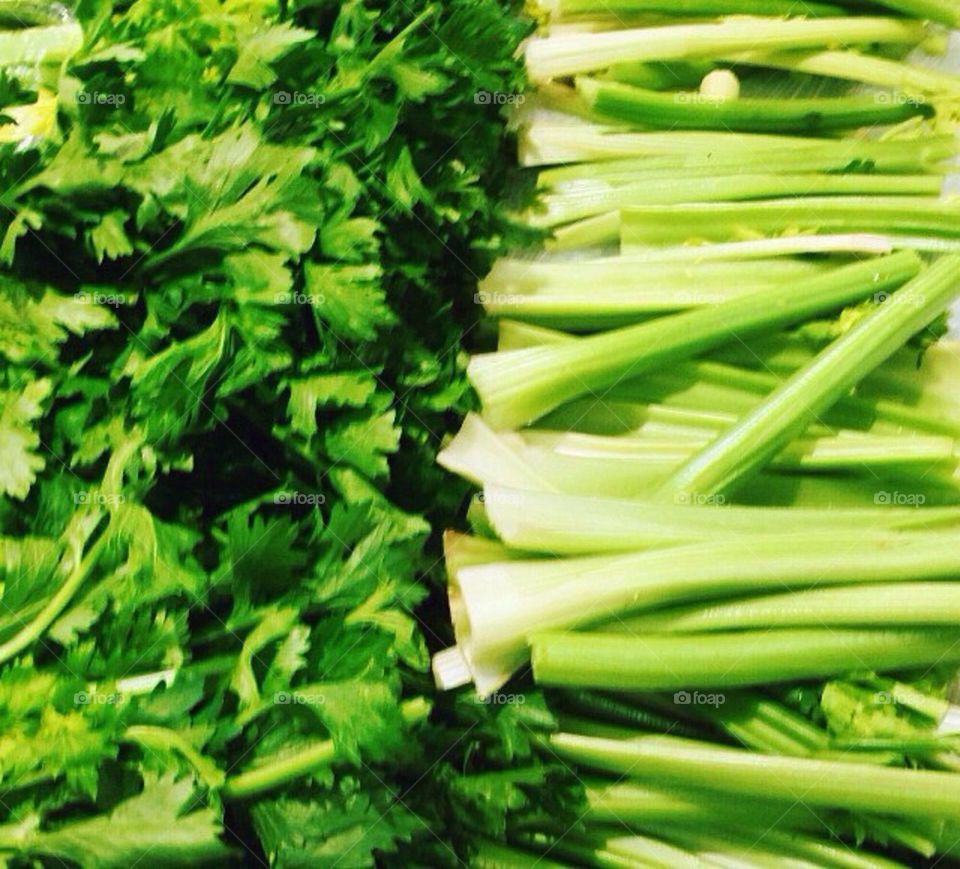 Fresh Crunchy Celery  