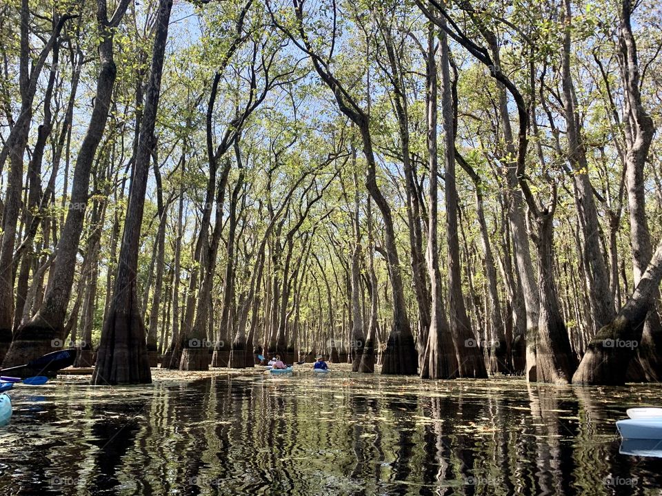 Kayaking in the Creek 