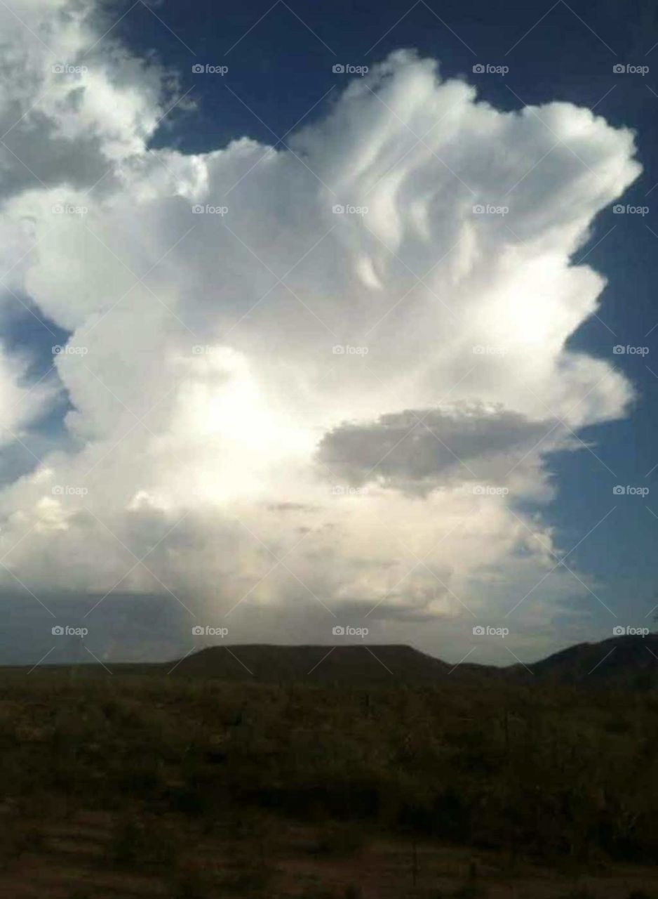 magnificent thunderhead