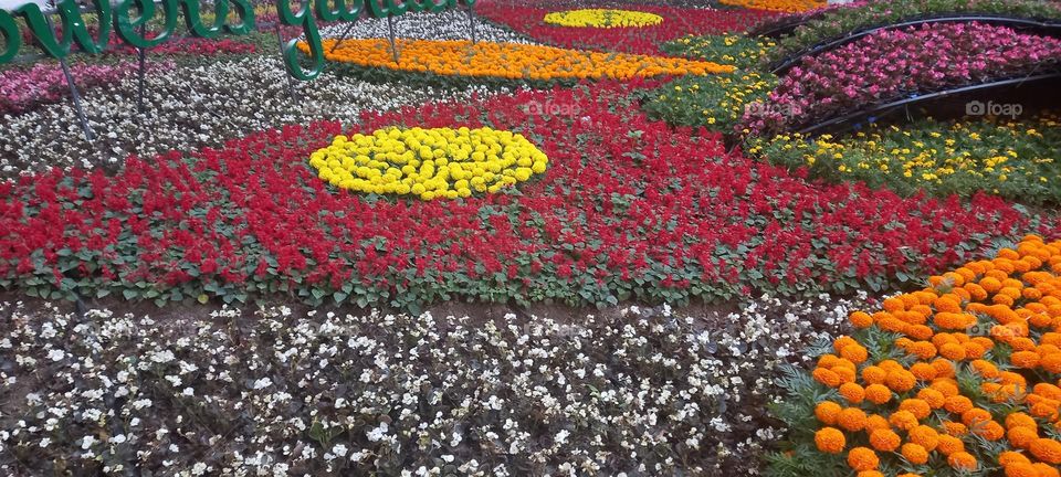 Наrmony of natural colors,