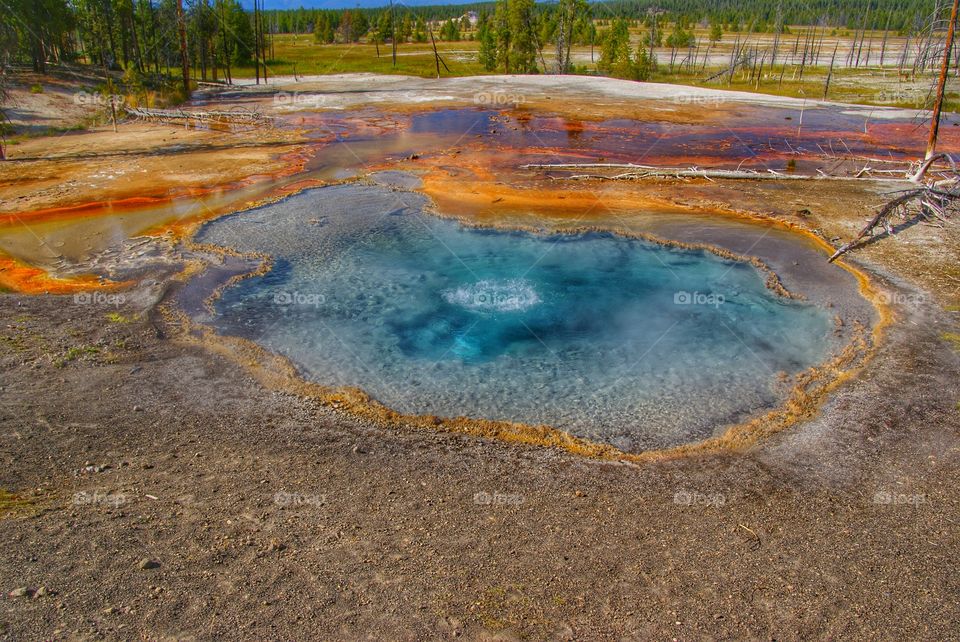 Scenic view of hot spring