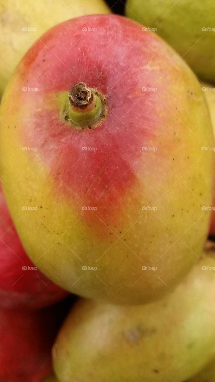mango close-up