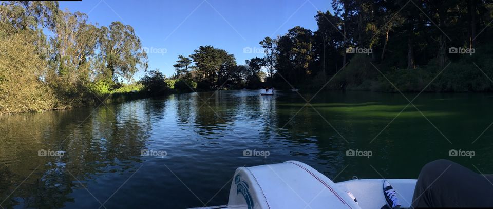 Lake, Water, River, Tree, Reflection