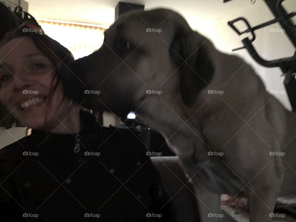 Friends! Animal Love 