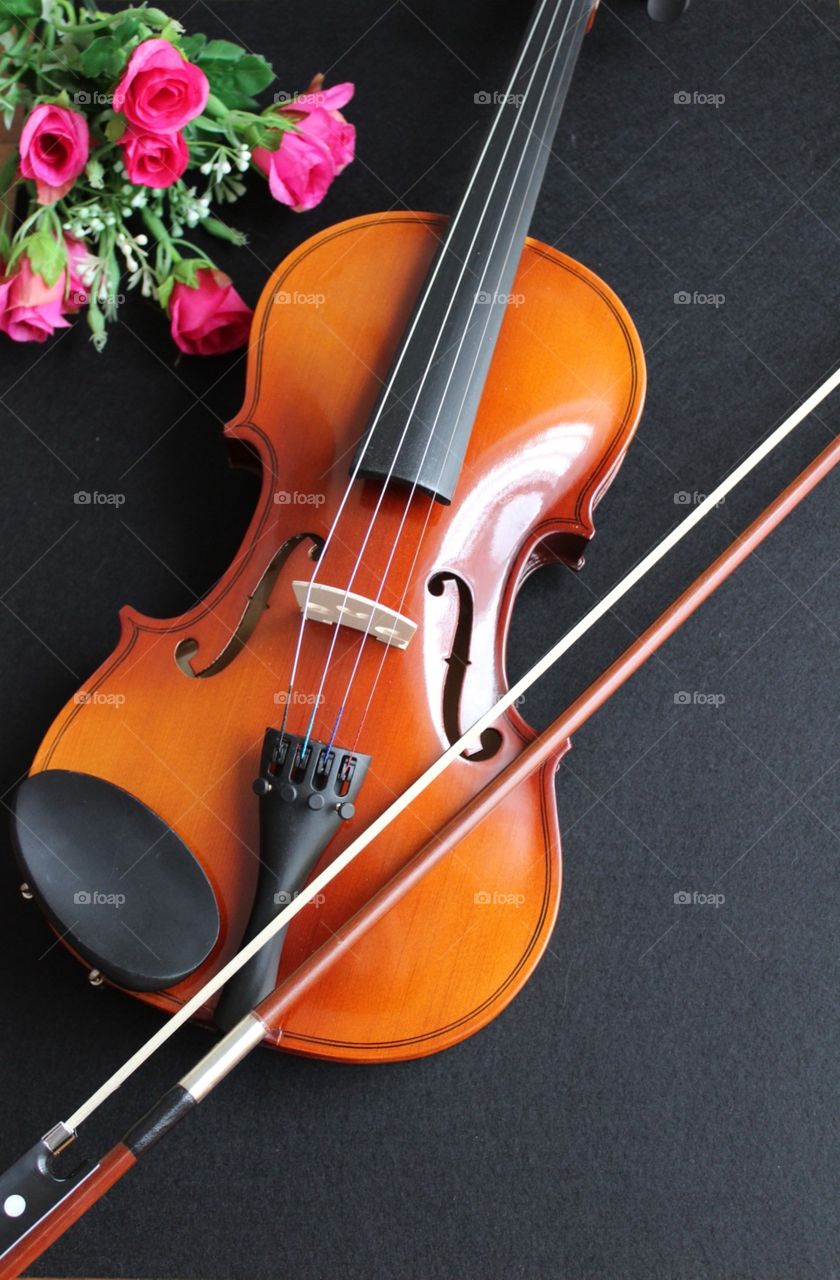 Musical instrument, violin and bow, stringed instruments, instrumental, art, stagg 