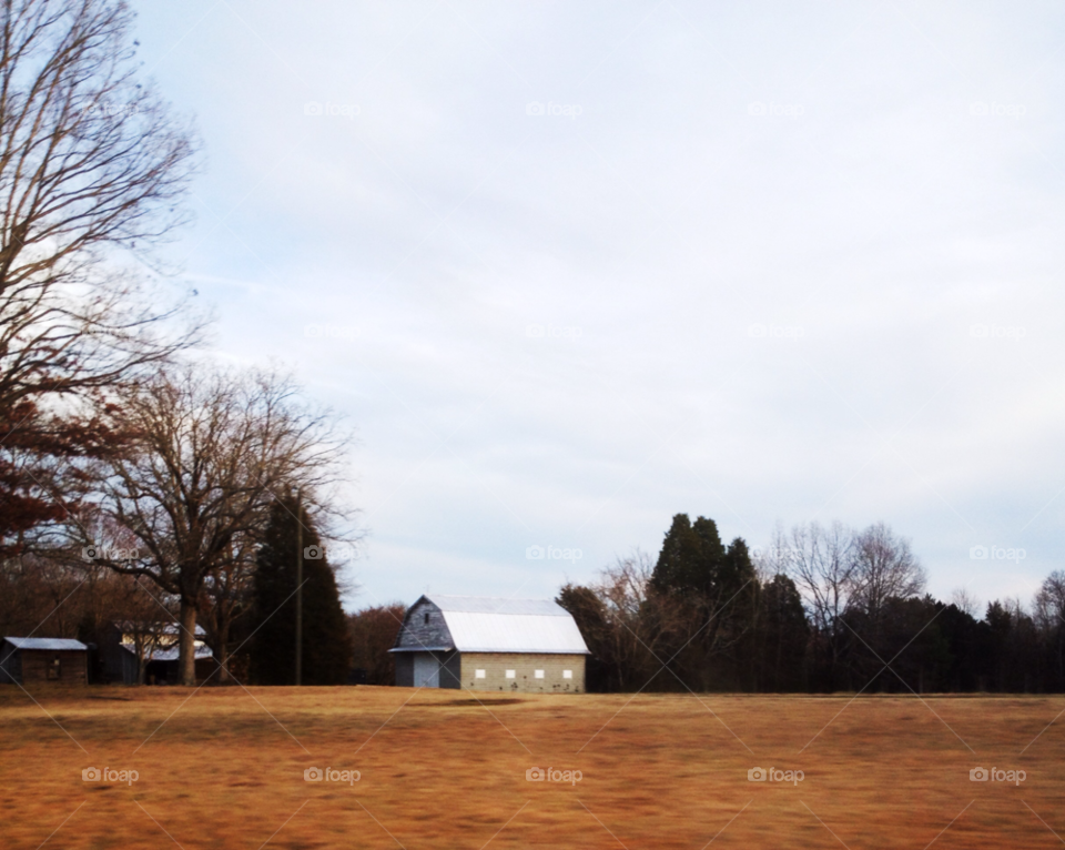 winter field trees barn by indescribable