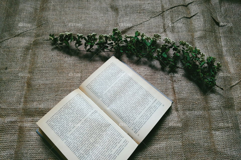 Open book and dry branch