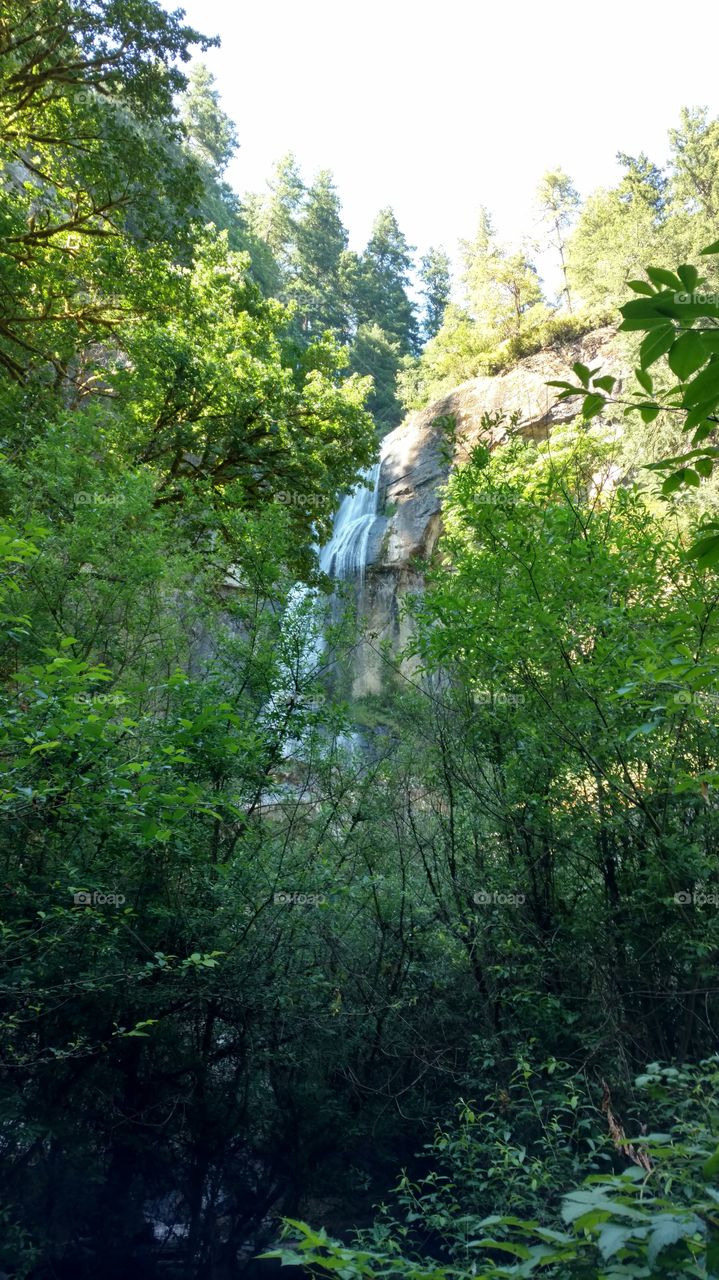 Waterfall Through Woods