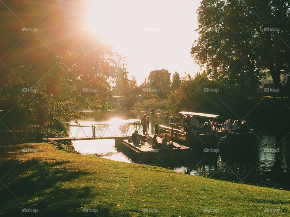 Backlight on a sunny day on the river