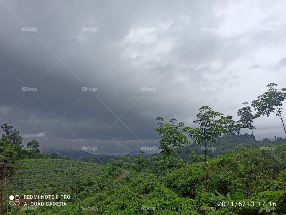 mundakayam natural beauty