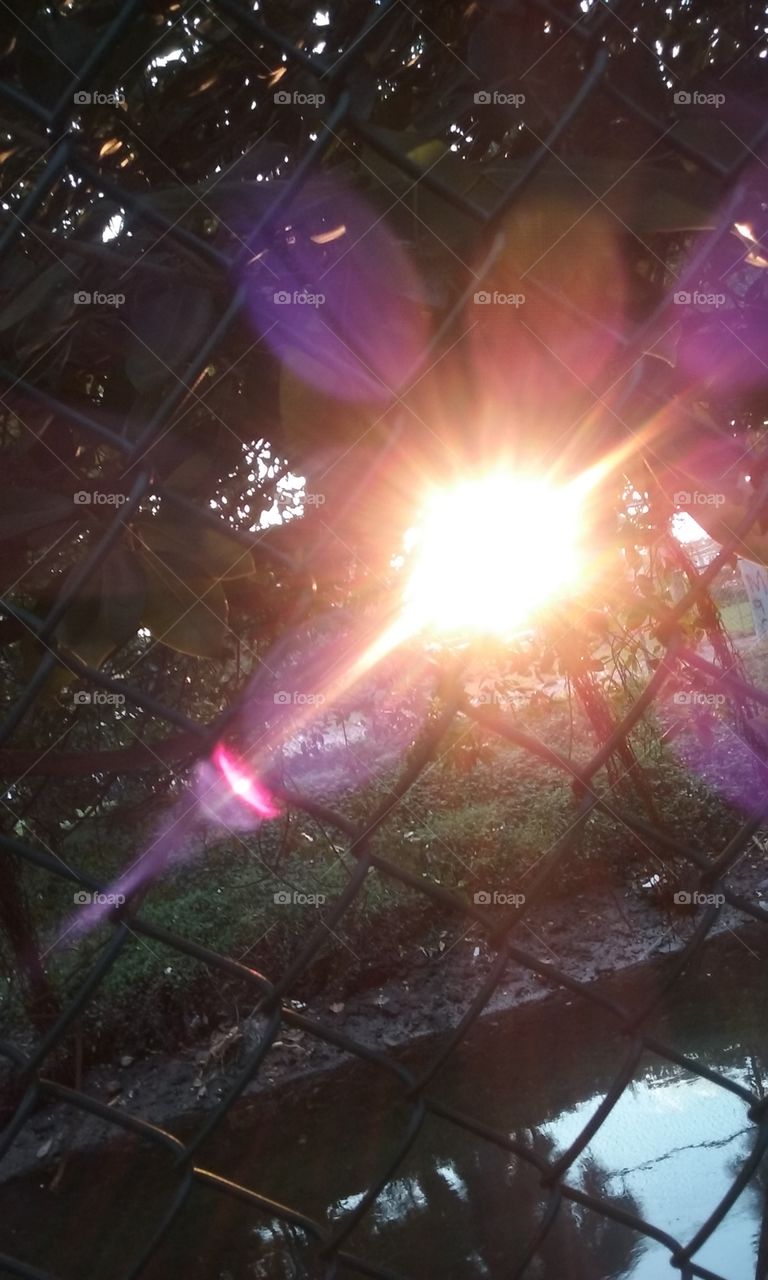 Magic sunset sunlight  rays squeezing through the backyard fence
