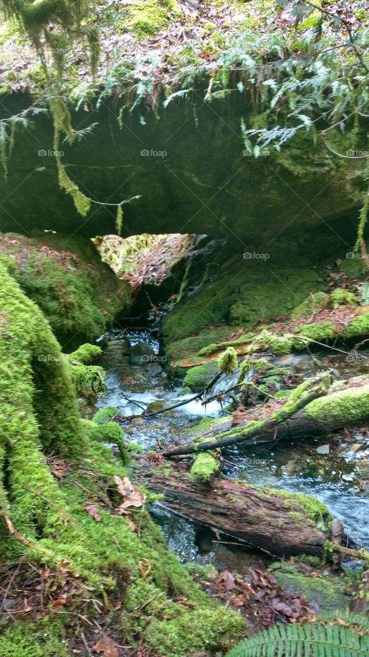underpass green river