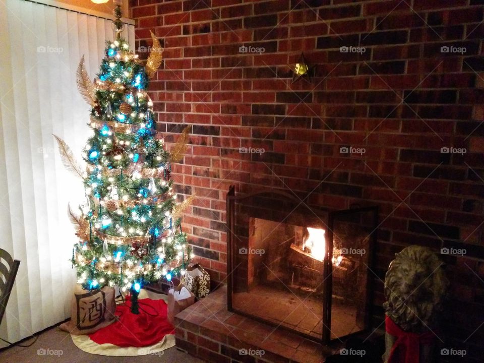 Christmas tree and hearth