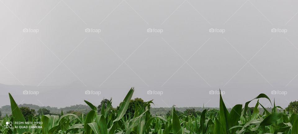 Water is falling over the hills