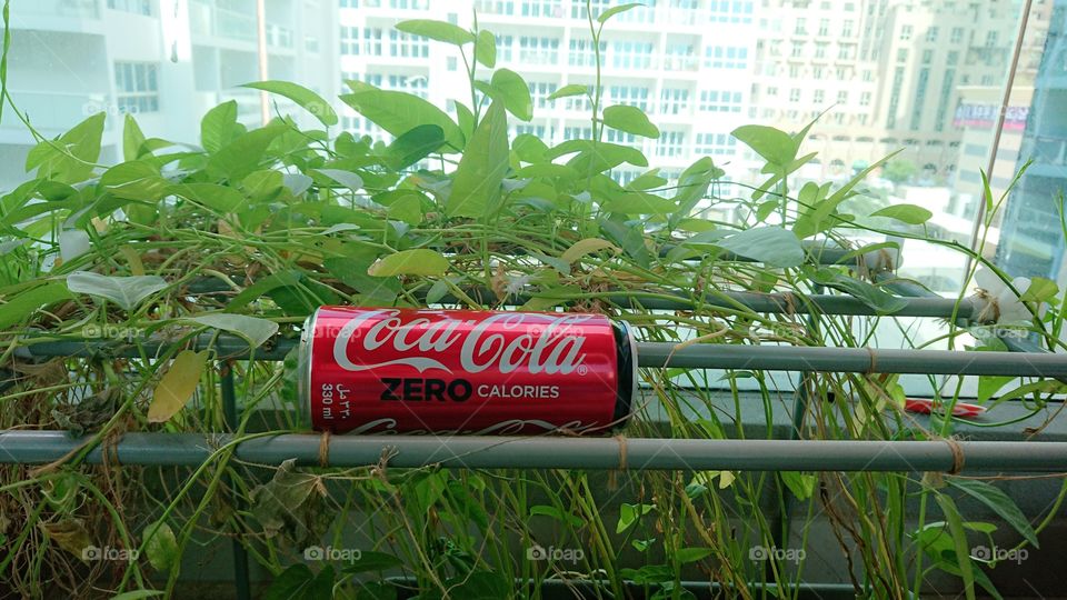 Welcome to Foap Plus!