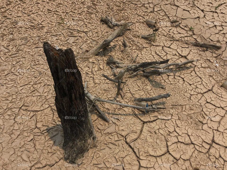 dry ground