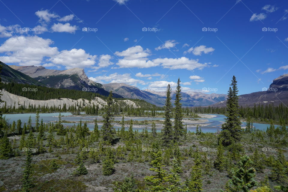 Natural Canadian Landscape