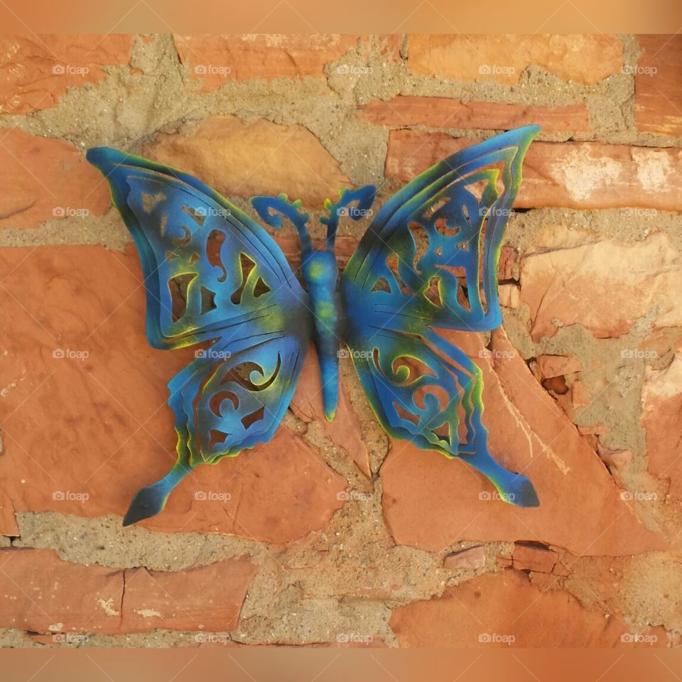 Butterfly Art