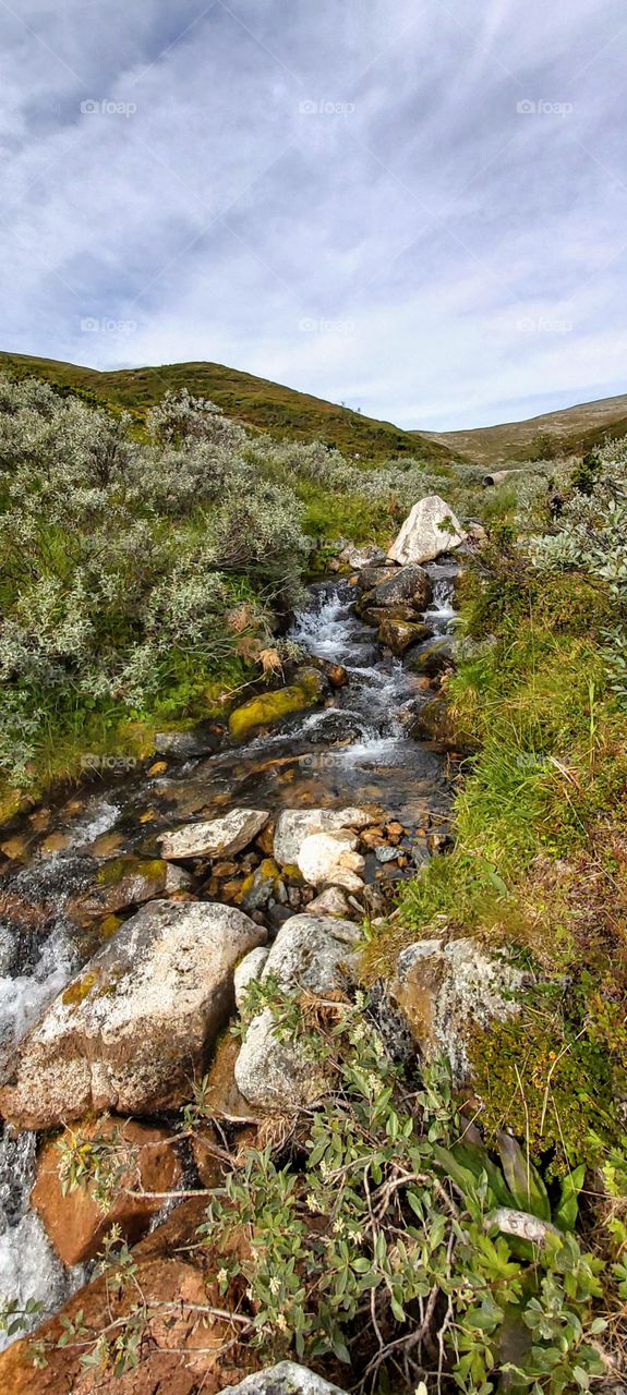 Pallas-Yllästunturi nationalpark, Lapland, Finland